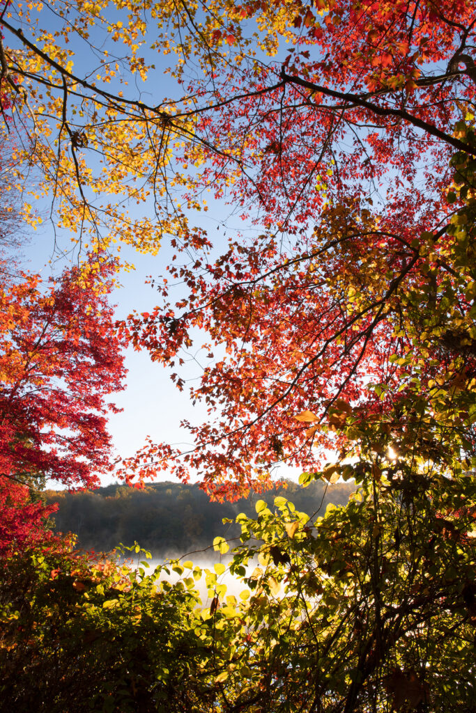 Fall Colors at Hidden Lake, Delaware Water Gap National Recreation Area, Pennsylvania, USA
