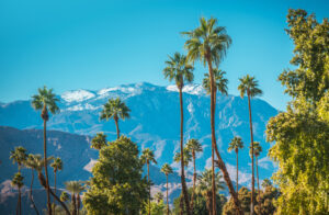 Winter in the City of Palm Springs California. Mountain Peaks Covered by First Snow, Sunny Weather and Palm Trees. Coachella Valley Climate. United States of America.